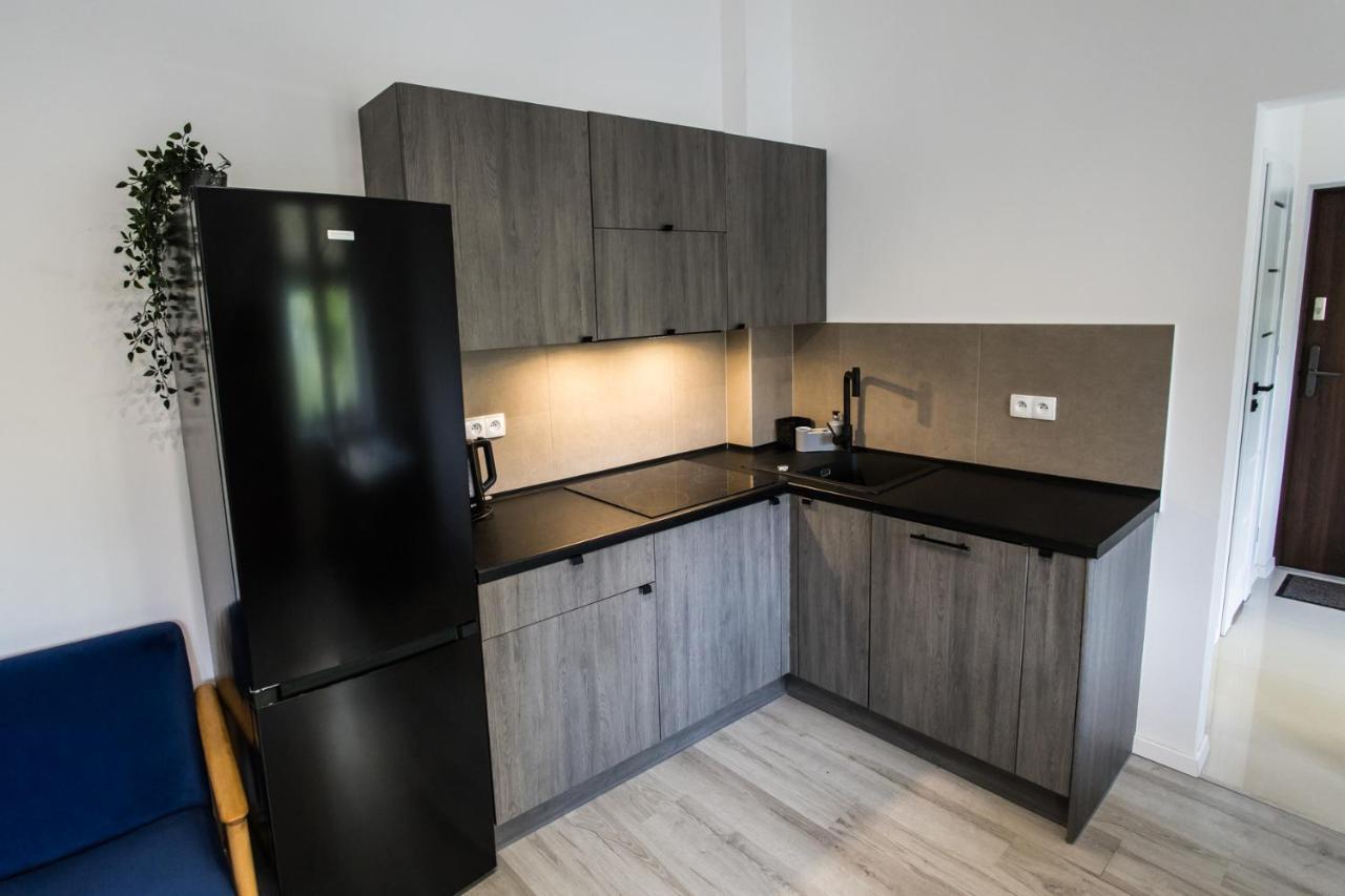 Apartament Kochanowskiego Torun Ngoại thất bức ảnh